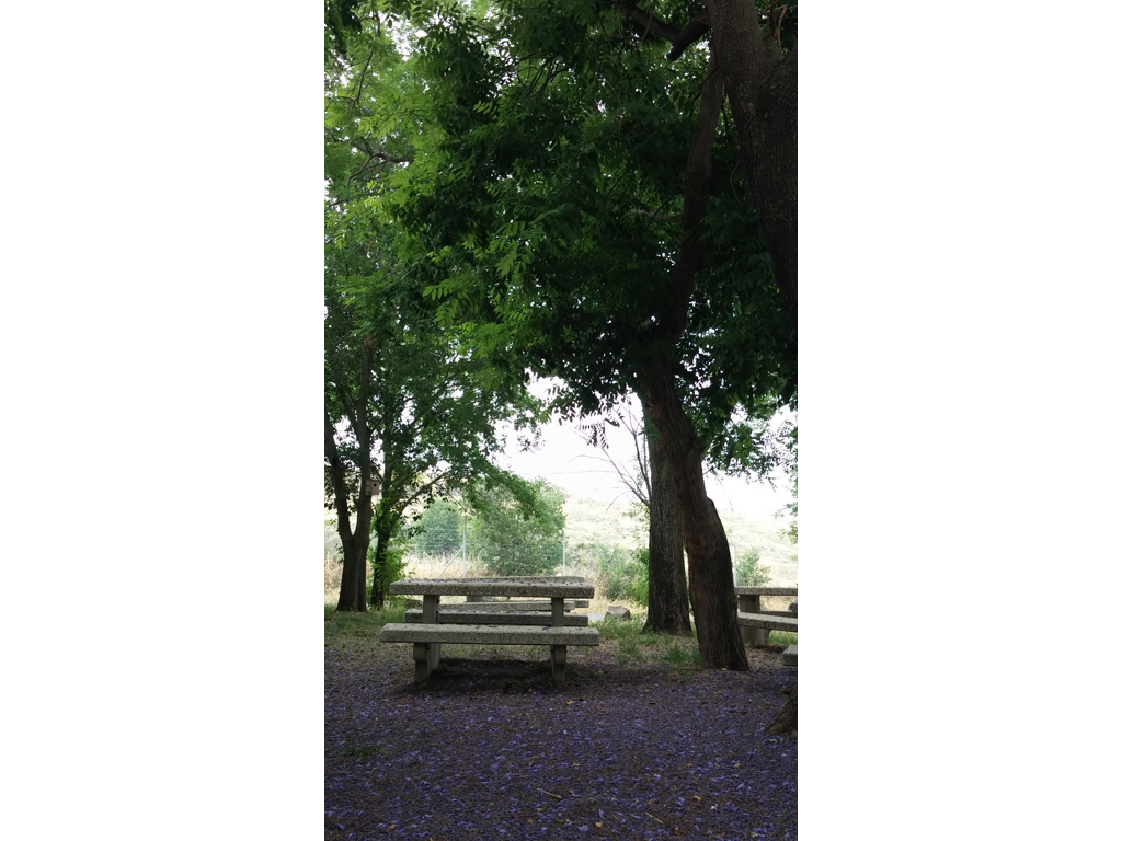 פינה בבית ספר שדה גולן